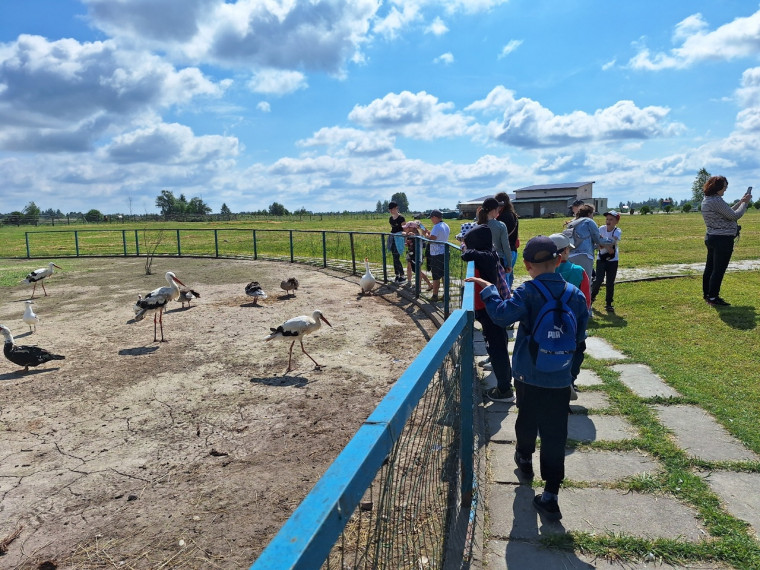 Экскурсия  в Свято-Елисаветинский монастырь и Парк птиц.